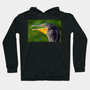 Head of a Double-Crested Cormorant Hoodie